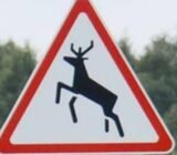 An intelligent wildlife warning system for motorists